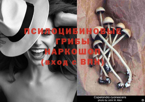 spice Алексеевка