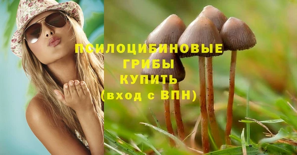 индика Абдулино