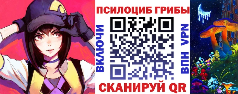Псилоцибиновые грибы Psilocybe  Черепаново 