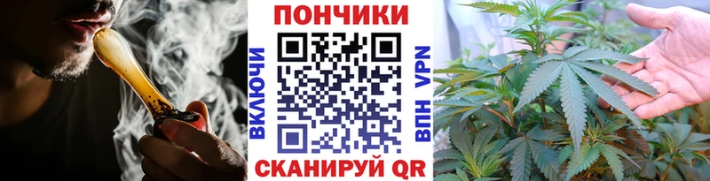 купить наркоту  Черепаново  Бошки Шишки SATIVA & INDICA 